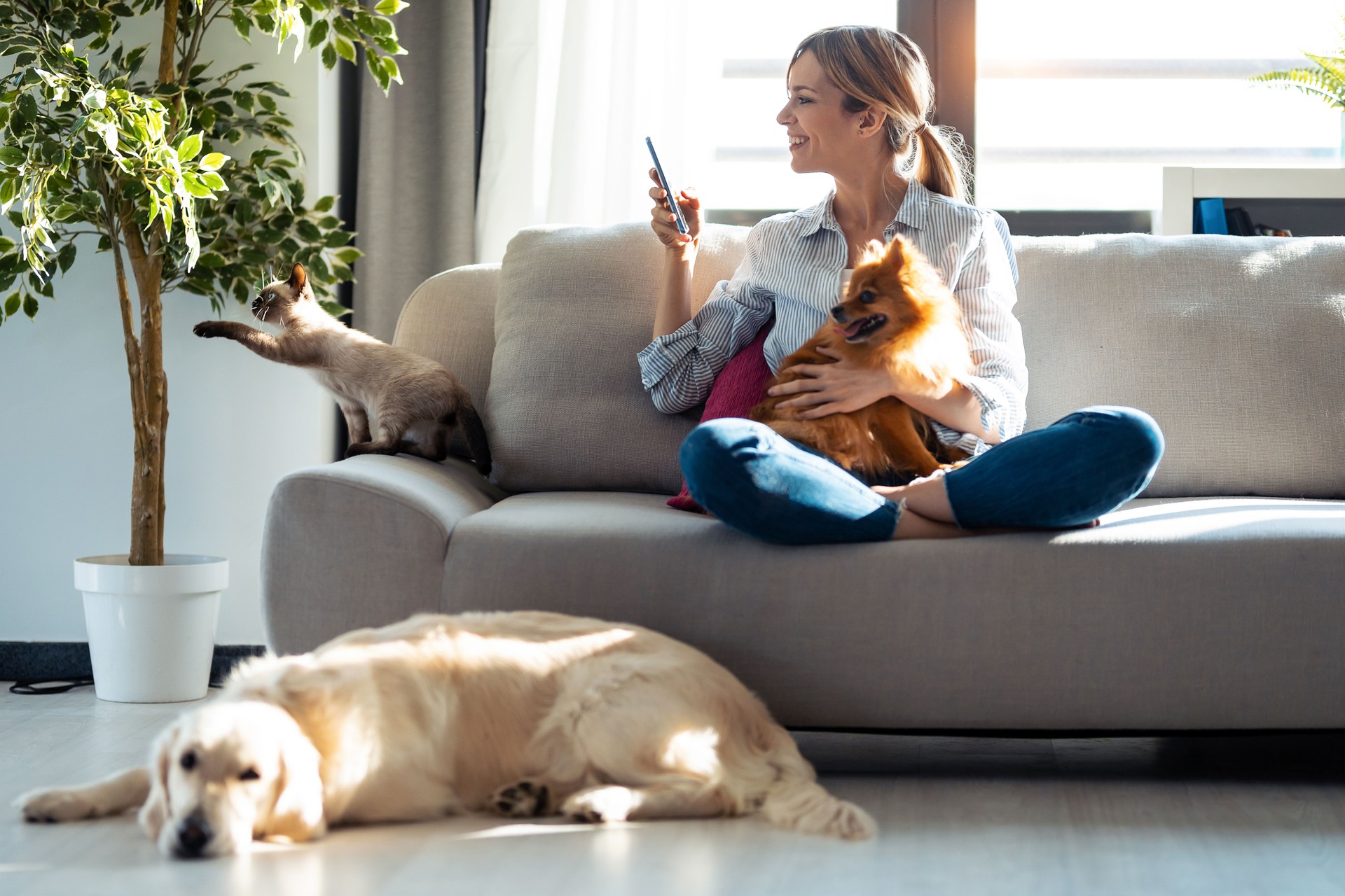 Pretty young woman taking a photo with mobile phone while sitting in couch with her dogs and cat at home.